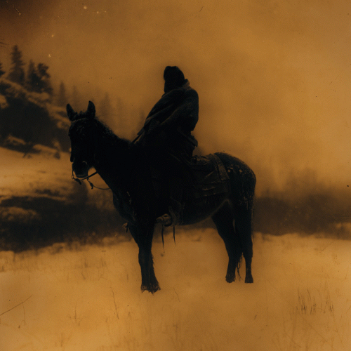 Wayfarer (USA-2) : World's Blood